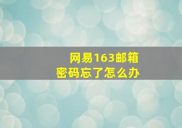 网易163邮箱密码忘了怎么办