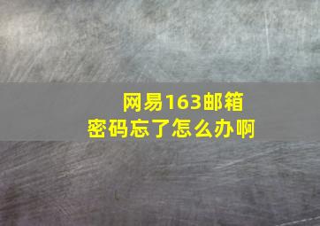 网易163邮箱密码忘了怎么办啊