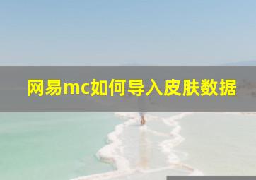 网易mc如何导入皮肤数据