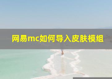 网易mc如何导入皮肤模组