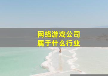 网络游戏公司属于什么行业