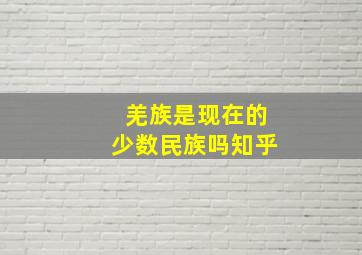 羌族是现在的少数民族吗知乎