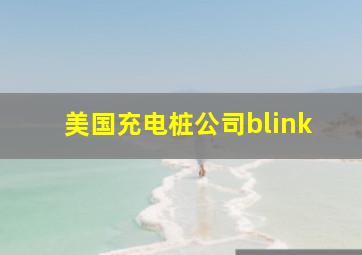 美国充电桩公司blink