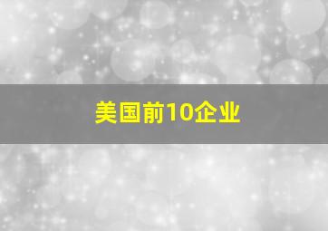 美国前10企业