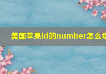 美国苹果id的number怎么填