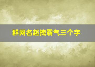 群网名超拽霸气三个字