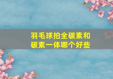 羽毛球拍全碳素和碳素一体哪个好些