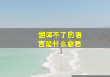 翻译不了的语言是什么意思