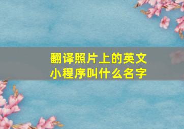 翻译照片上的英文小程序叫什么名字