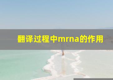 翻译过程中mrna的作用