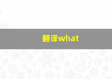 翻译what