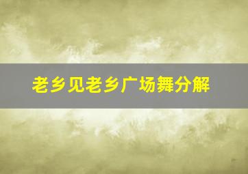 老乡见老乡广场舞分解