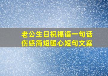 老公生日祝福语一句话伤感简短暖心短句文案