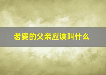 老婆的父亲应该叫什么