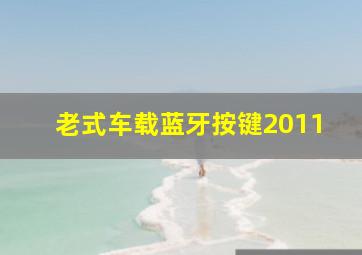 老式车载蓝牙按键2011