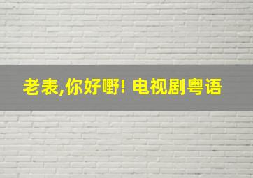 老表,你好嘢! 电视剧粤语