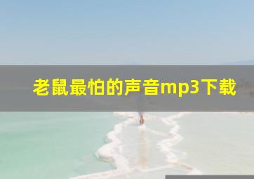 老鼠最怕的声音mp3下载