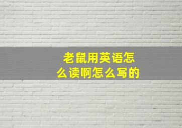 老鼠用英语怎么读啊怎么写的