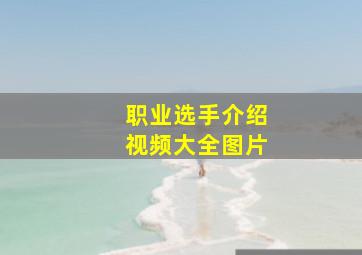 职业选手介绍视频大全图片