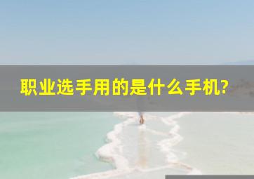 职业选手用的是什么手机?