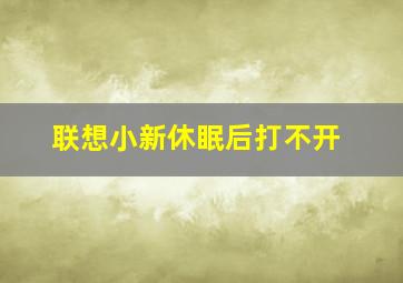 联想小新休眠后打不开