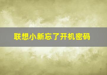 联想小新忘了开机密码