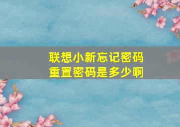 联想小新忘记密码重置密码是多少啊