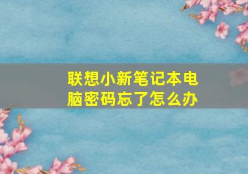 联想小新笔记本电脑密码忘了怎么办