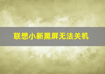 联想小新黑屏无法关机