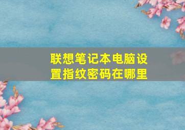 联想笔记本电脑设置指纹密码在哪里