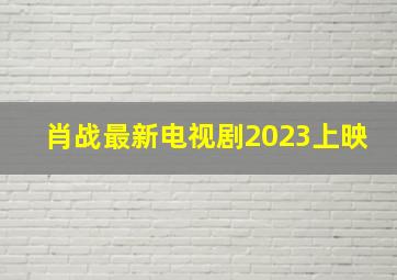 肖战最新电视剧2023上映