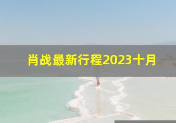 肖战最新行程2023十月