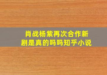 肖战杨紫再次合作新剧是真的吗吗知乎小说