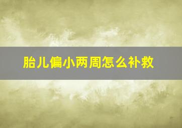 胎儿偏小两周怎么补救