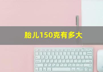 胎儿150克有多大