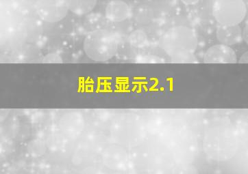 胎压显示2.1