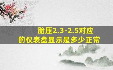 胎压2.3-2.5对应的仪表盘显示是多少正常