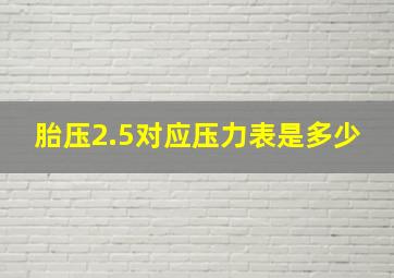 胎压2.5对应压力表是多少