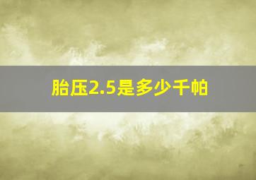 胎压2.5是多少千帕