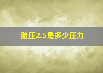 胎压2.5是多少压力