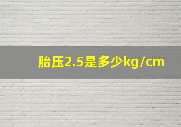 胎压2.5是多少kg/cm