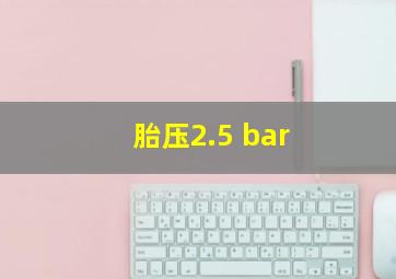 胎压2.5 bar