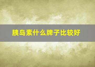 胰岛素什么牌子比较好