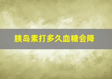 胰岛素打多久血糖会降