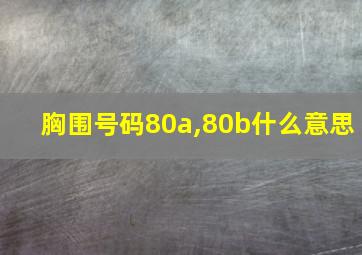 胸围号码80a,80b什么意思