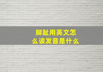 脚趾用英文怎么读发音是什么