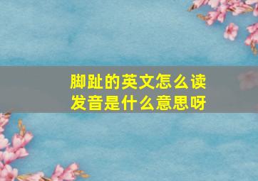 脚趾的英文怎么读发音是什么意思呀