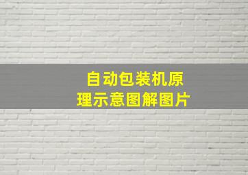 自动包装机原理示意图解图片