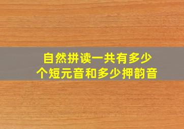 自然拼读一共有多少个短元音和多少押韵音