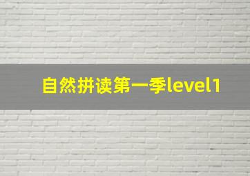 自然拼读第一季level1